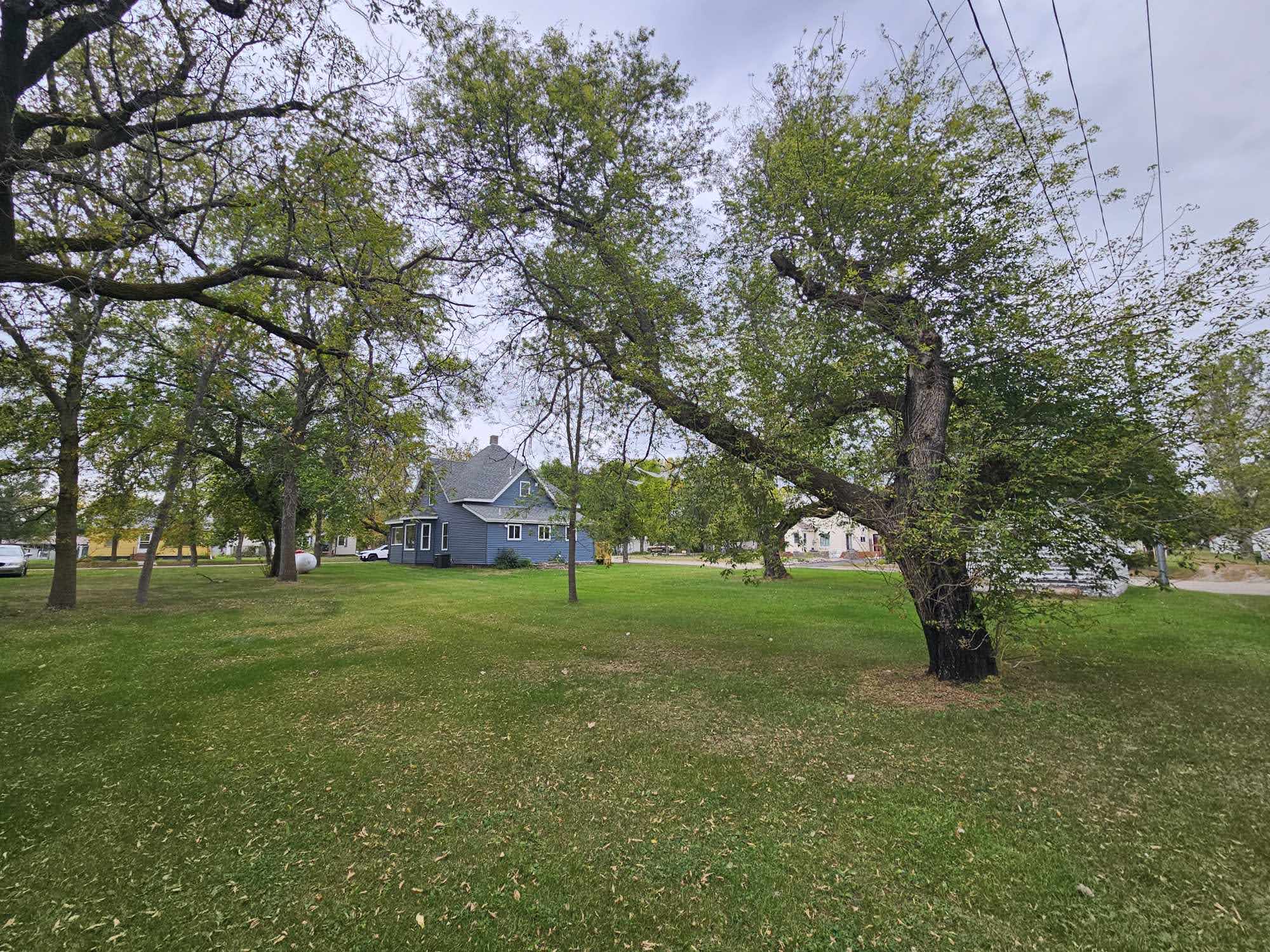 Large backyard on spacious double corner lot with mature trees